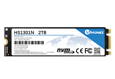 SSD-HS1301N