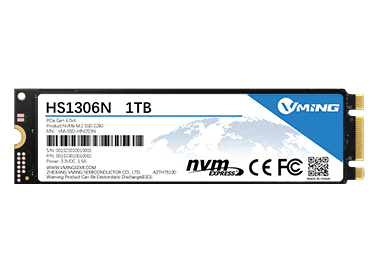 SSD-HS1306N